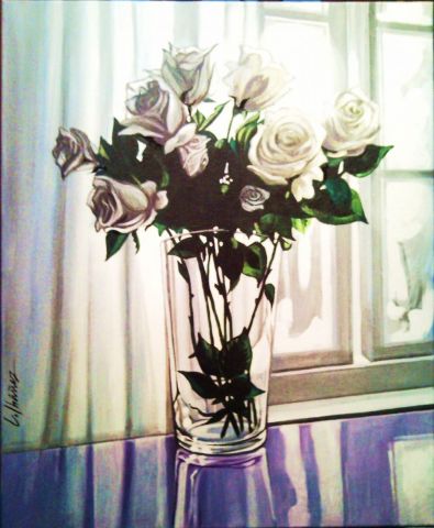 rosas blancas en contraste